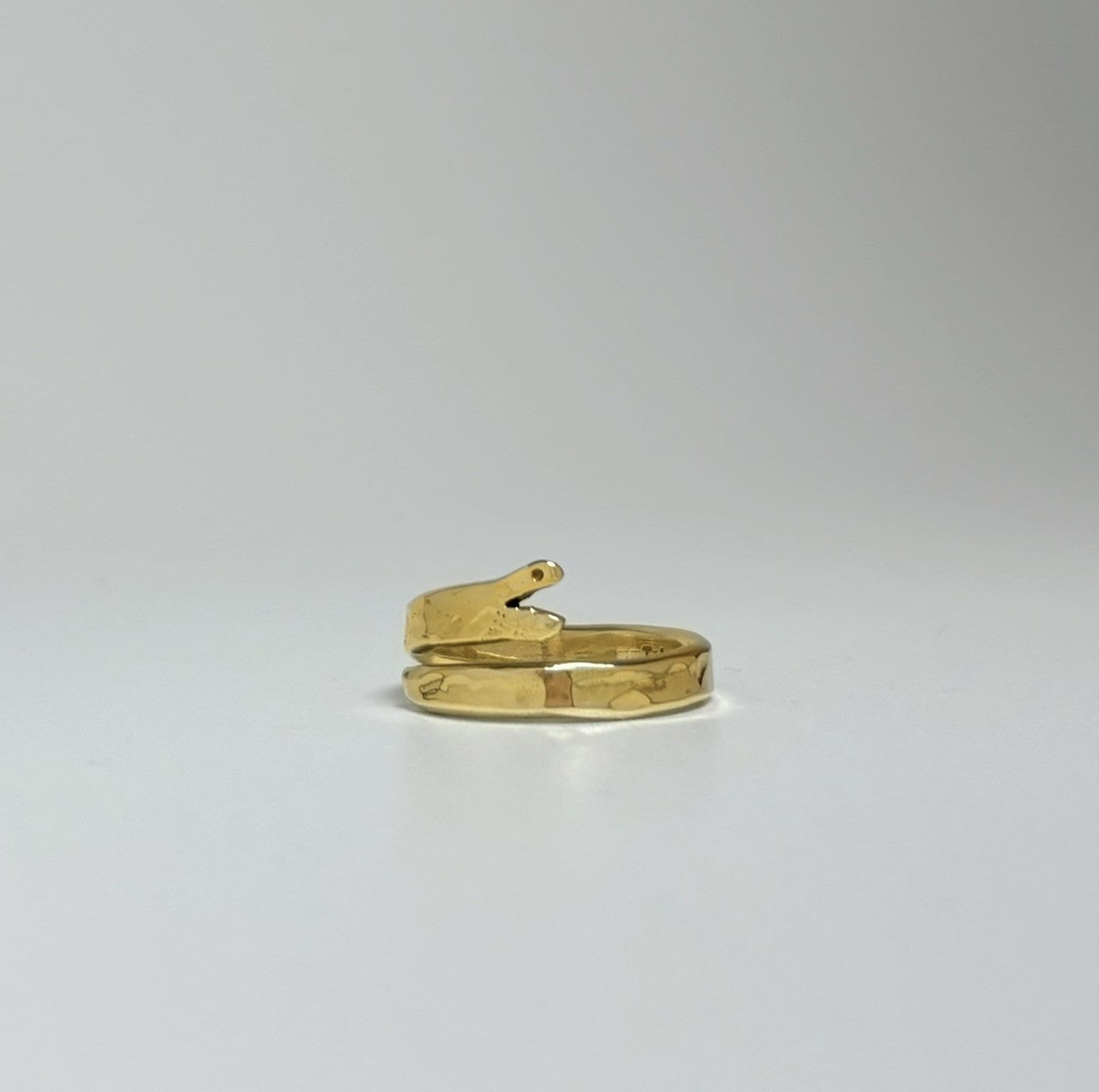 一日金工匠– zoukoo